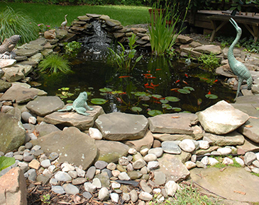 The Benefits of Installing Aquascapes in Waukesha, WI