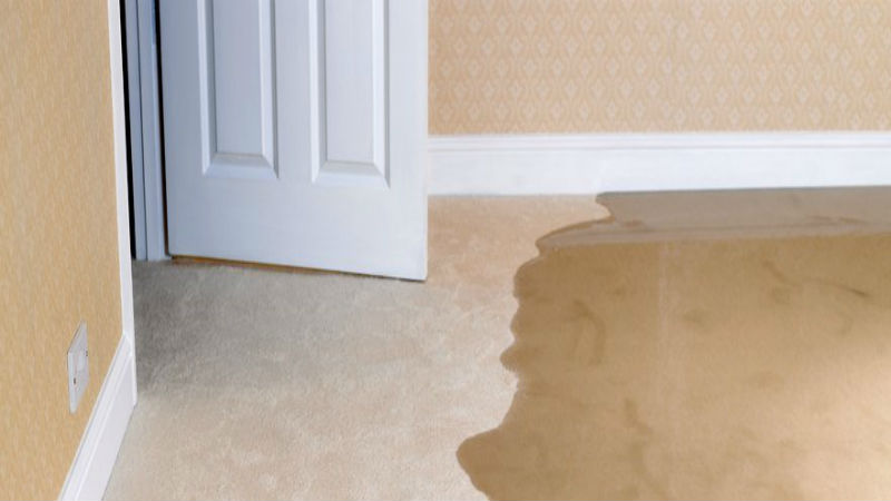 What To Do When You Have Water Damage In Fountain, CO