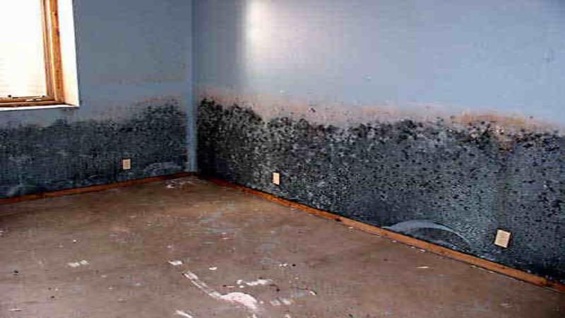 What you need to know about water damage restoration in Aurora, CO