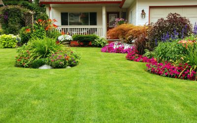 Things to Consider When Looking For a Residential Landscaper in Lake Mary