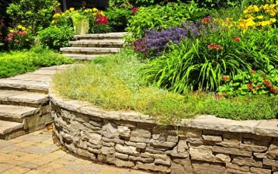 Boost Your Landscape with Stylish Decorative Curbs in Cambridge, WI