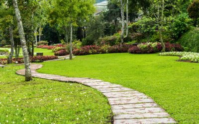 Sustainable Yards Start With Trusted Mulch Companies in Hustisford, WI for Healthy Soil
