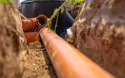Boost Your Property Value with a Commercial Landscaper in NJ Focused on Lasting Impressions